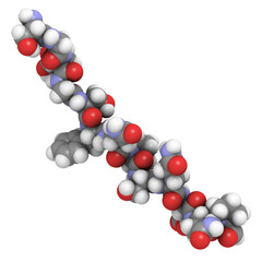 Deamidated gliadin (gluten) peptide fragment, chemical structure. Gliadin is one of the principal allergens responsible for celiac disease.