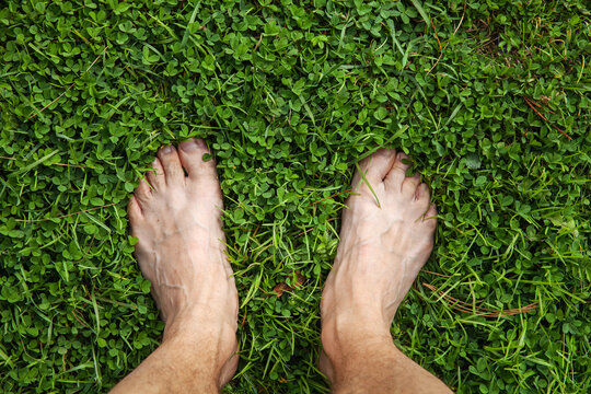 Bare feet of a man standing on a green grass of a lawn