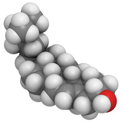 Cholesterol, molecular model