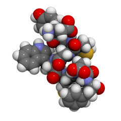 Cholecystokinin-8 (CCK8) peptide molecule, chemical structure