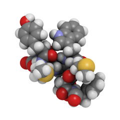 Cholecystokinin-8 (CCK8) peptide molecule, chemical structure
