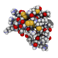 Chlorotoxin scorpion toxin. Peptide toxin present in deathstalker scorpion venom. Blocks chloride channels