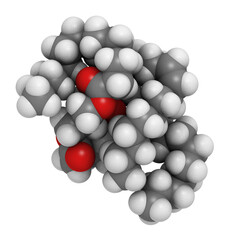 Saturated animal fat triglyceride (butter, cheese, beef, etc) molecule