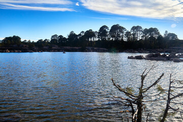 lake with branch in first plane and forest in the background in mexiquillo durango 