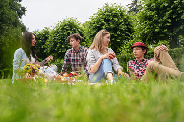 Fototapeta premium Shot of group of friends having time together at picnic in natural park in summertime.