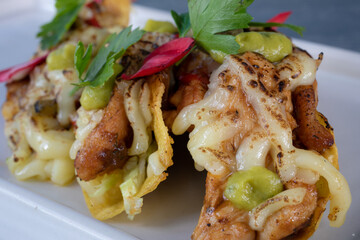 Typical colombian food, chicken taquitos entrees