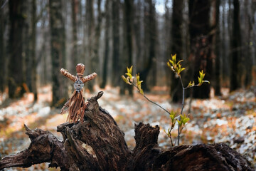 magic witchcraft doll made of tree bast in autumn forest, natural background. Forest grandmother,...