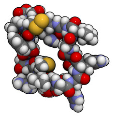 Atrial natriuretic peptide (ANP) or factor (ANF) molecule, chemical structure