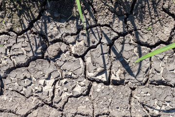 drought, cracked earth in the absence of moisture, abnormal hot weather.