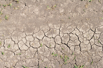 drought, cracked earth in the absence of moisture, abnormal hot weather.