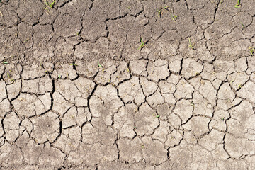 drought, cracked earth in the absence of moisture, abnormal hot weather.