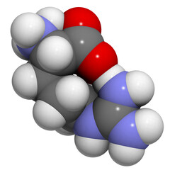 Arginine (Arg, R) amino acid, molecular model.