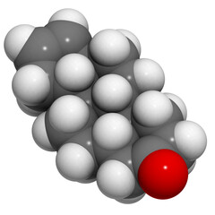 Androstenone molecule, chemical structure