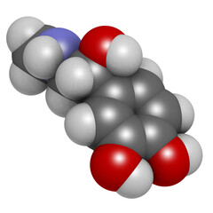 Adrenaline (epinephrine) hormone and neurotransmitter, molecular model.