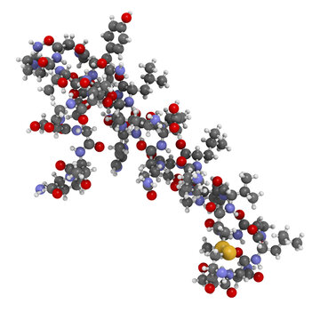 Salmon calcitonin peptide hormone drug, chemical structure.
