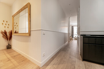 Entrance hall of a rental apartment with a long hallway and a wood-framed mirror