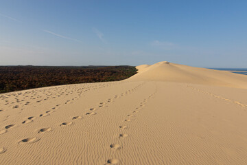 Dune du Pilat. High quality photo