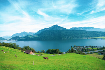 Mount Pilatus and the valley station in Alpnachstad lie in the heart of Switzerland and are very...