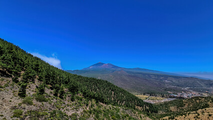 Fototapeta na wymiar Scenic view on volcano Pico del Teide surrounded by Canarian pine tree forest, Teno mountain range, Tenerife, Canary Islands, Spain, Europe. Hiking trail from Santiago to Masca village via Pico Verde