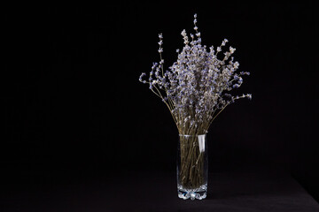 Lavender flowers in a glass on dark background