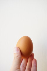 Brown chicken egg in a female hand on a white background