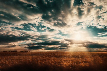 Fototapeta premium Sunset over the field with sun rays. Illustration