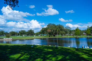 Lake zephyr in Zephyrhills town of Florida. Zephyrhills is a city in Pasco County, Florida, United States.