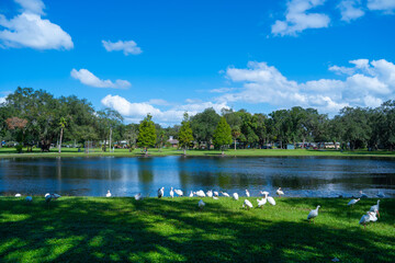Fototapeta na wymiar Lake zephyr in Zephyrhills town of Florida. Zephyrhills is a city in Pasco County, Florida, United States.