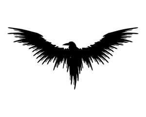 Flying black raven silhouette isolated on a white background.