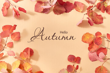 Flat lay frame with colorful autumn leaves on an orange background. Fall banner with hello autumn text