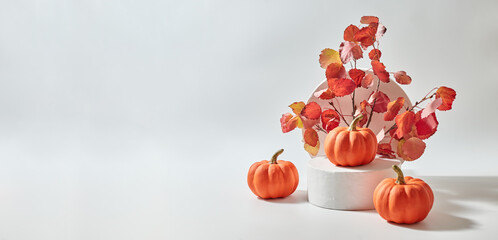 Small orange pumpkins and white podium. Colorful autumn leaves  on a light background. Mock up for displaying works