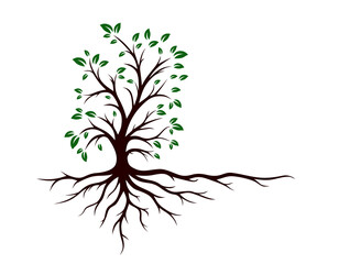 Obraz premium Symbol of the green tree with roots.