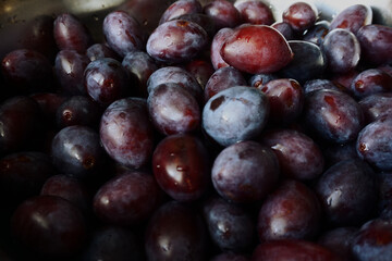 the texture of plums, in the skin of which sunlight is reflected