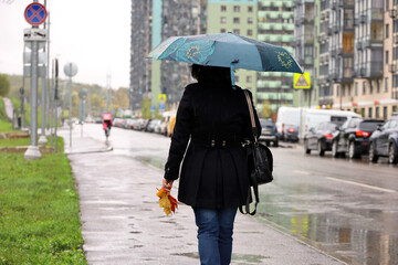 Woman with umbrella walking on city street with maple leaves in hand. Rainy weather, residential buildings and parked cars