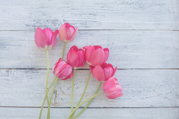 Pink tulips on white wooden background. Toned.
