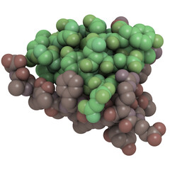 Human insulin molecule, chemical structure. Insulin is a peptide hormone used to treat type 1 diabetes.