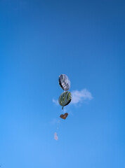 Luftballons mit Grüßen und Botschaften steigen bei einer Hochzeit in den Himmel.