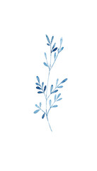 Fototapeta na wymiar A branch with oblong leaves. Watercolor illustration.