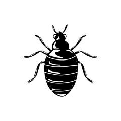 Black bedbug. PNG illustration.