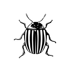 Colorado beetle silhouette.
