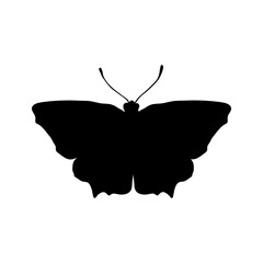 Black Butterfly siluette. PNG illustration.