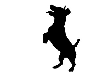 Silhouette of the body of jack Russell sitting on the side - 534061292