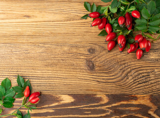Wild Rose Twig Texture Background, Rose Hip Branch Mockup
