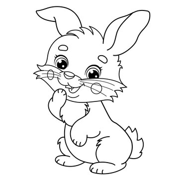 Coloring Page Outline Of cartoon  cute bunny or rabbit. Animals. Coloring Book for kids.