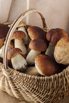 Basket with porcini mushrooms, full of freshly picked. Vertical photo.