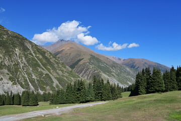 Grigorievskoe gorge landscape. Kyrgyzstan