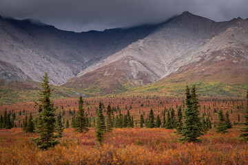 Alaska 