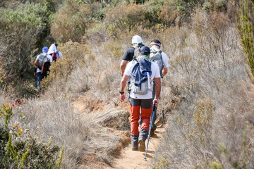 Obraz premium Mountaineer climbing brazil's highest peaks in the mountains with extensive hiking and backpacking. 