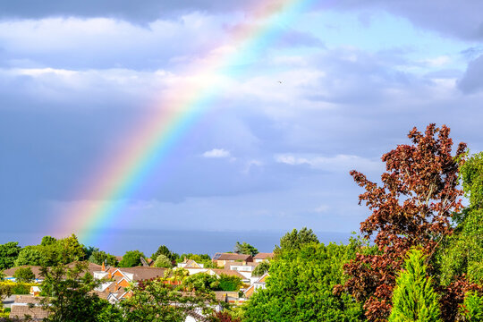 rainbow over the field