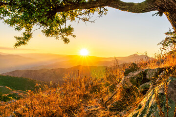 picturesque view from under the branch of a tree on a mountain slope to a mountains and sunset or sunrise valley with anazing clouds and glow